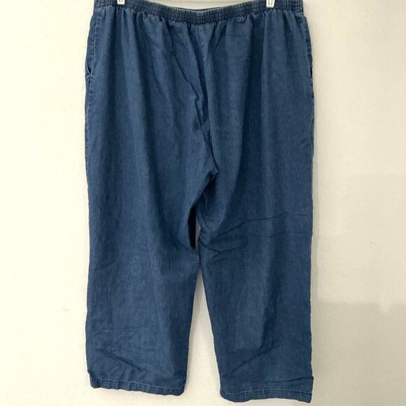 ALFRED DUNNER PLUS ELASTIC PULL ON DENIM JEANS 22W - Picture 4 of 9